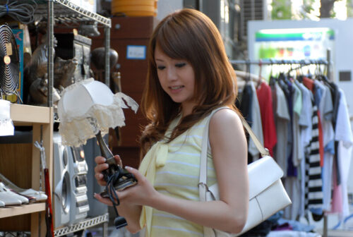 The Pleasure Wanderer: Shinjuku Showdown!!