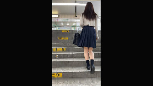 Molest Record Diary Vol. 97